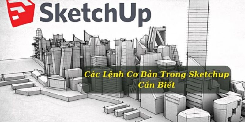 Các lệnh cơ bản trong sketchup hội viên cần nắm chắc