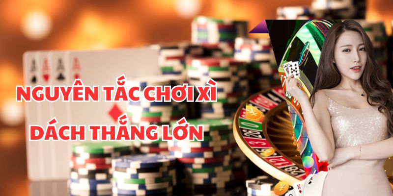Quy tắc chơi xì dách cơ bản