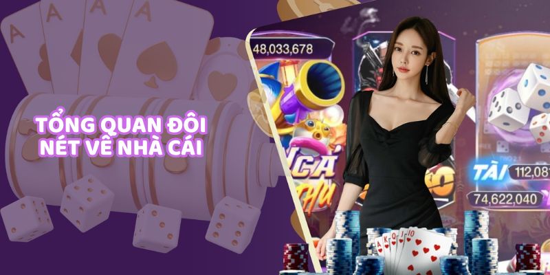 Tổng quan đôi nét về nhà cái